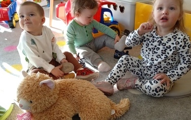 Światowy Dzień Kota 10