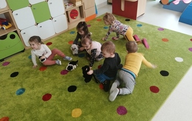 Światowy Dzień Kota 14