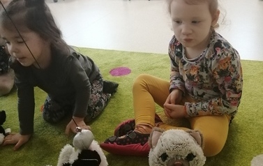 Światowy Dzień Kota 15