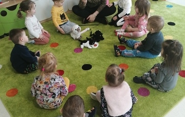 Światowy Dzień Kota 21