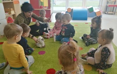 Zdjęcie do Światowy Dzień Kota